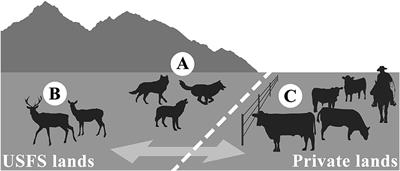 Coexistence Praxis: The Role of Resource Managers in Wolf-Livestock Interactions on Federal Lands